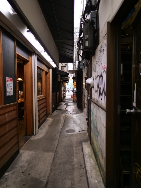 P1143168.JPG