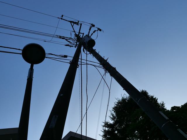 P1143401-.JPG