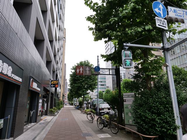 P1154008.JPG